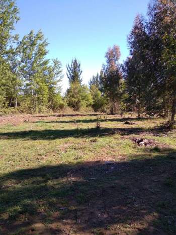 Venta Terreno Pinto - Ñuble