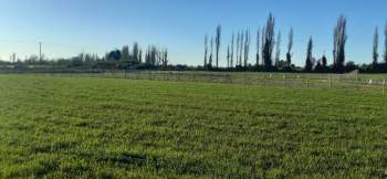 Venta Terreno Coihueco - Ñuble