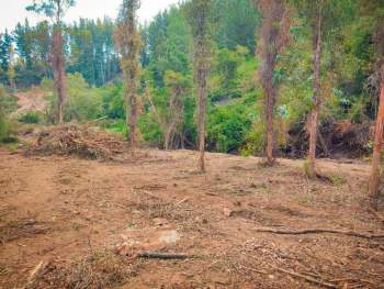 Venta Terreno Florida - Biobío
