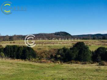 Venta Terreno Fresia - Los Lagos