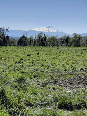 Venta Terreno Curacautín - La Araucanía