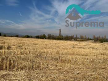 Venta Terreno Longaví - Maule