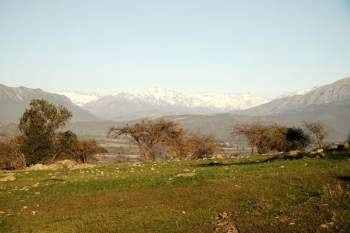 Venta Agrícola Chimbarongo - O'Higgins