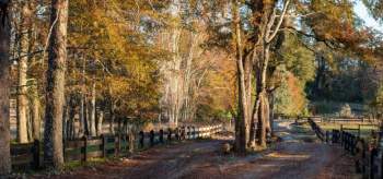 Venta Terreno Villarrica - La Araucanía