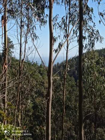 Venta Terreno Cobquecura - Ñuble