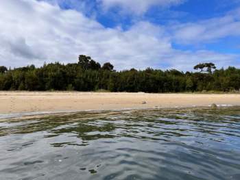 Venta Terreno Cisnes - Aysén