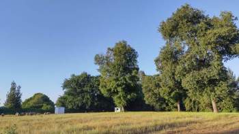 Venta Agrícola San ignacio - Ñuble