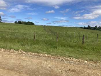 Venta Terreno Los Muermos - Los Lagos