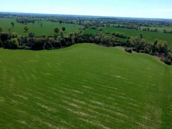 Venta Agrícola El carmen - Ñuble