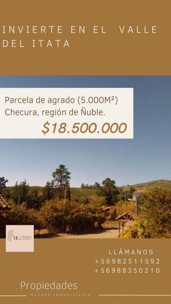 Venta Agrícola Coelemu - Ñuble