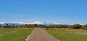 Venta Agrícola San Rafael - Maule