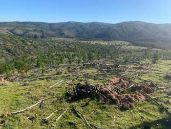 Venta Terreno Empedrado - Maule