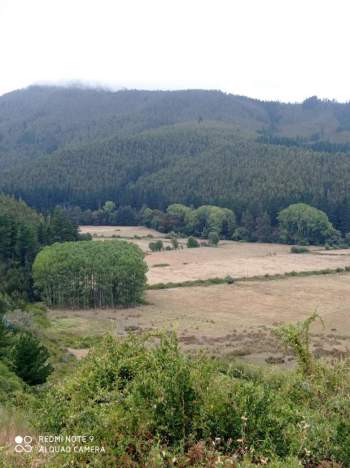 Venta Terreno Buchupureo - Ñuble