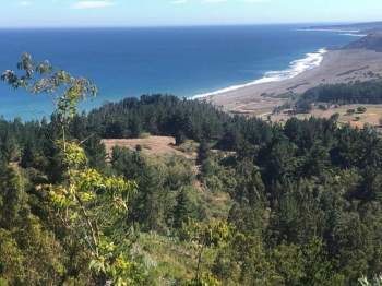 Venta Terreno Buchupureo - Ñuble