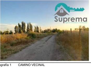 Venta Agrícola Longaví - Maule
