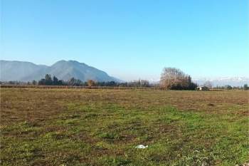 Venta Agrícola Santa Cruz - O'Higgins