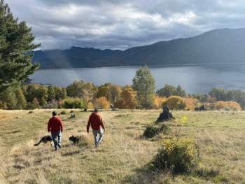 Venta Terreno Pucón - La Araucanía