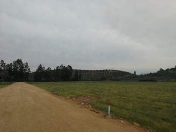 Venta Terreno Palmilla - O'Higgins