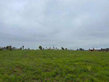 Venta Terreno Chillan viejo - Ñuble
