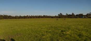 Venta Terreno Bulnes - Ñuble
