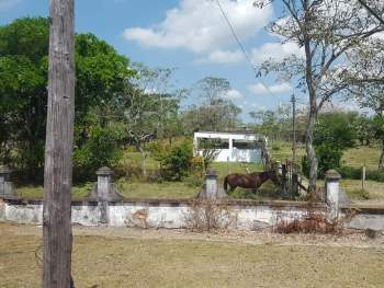 Venta Rancho Fernando López Arias - Cosamaloapan de Carpio