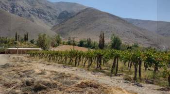 Venta Terreno Alto del carmen - Atacama