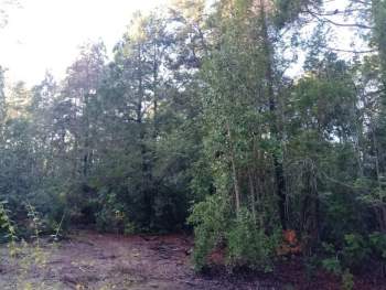 Venta Terreno Melipeuco - La Araucanía