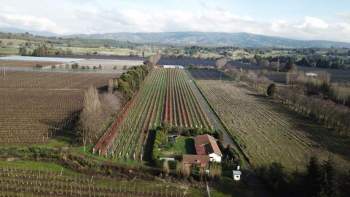 Venta Agrícola Angol - La Araucanía