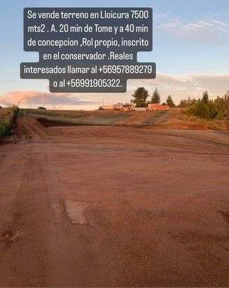 Venta Sitio Tomé - Biobío