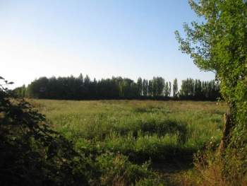 Venta Agrícola Parral - Maule
