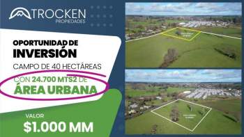 Venta Agrícola Río negro - Los Lagos