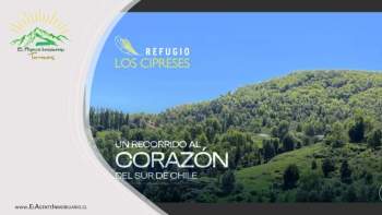 Venta Terreno San fabián - Ñuble