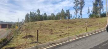 Venta Terreno Hualañé - Maule