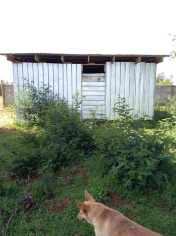 Venta Terreno El carmen - Ñuble