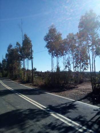Venta Comercial Florida - Biobío