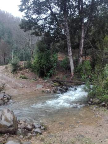 Venta Terreno Santa Bárbara - Biobío