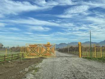 Venta Terreno Olivar - O'Higgins