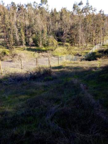Venta Terreno Pumanque - O'Higgins