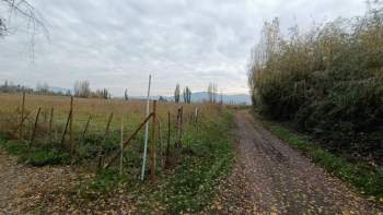 Venta Terreno San Vicente de Tagua Tagua - O'Higgins