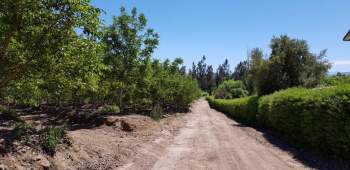 Venta Agrícola Melipilla - Región Metropolitana