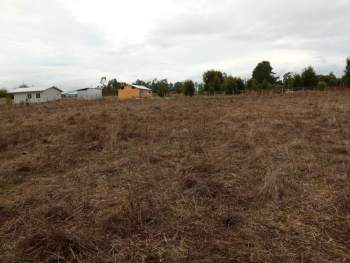Venta Terreno Cañete - Biobío