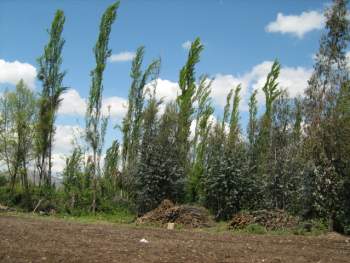 Venta Terreno San Vicente de Tagua Tagua - O'Higgins