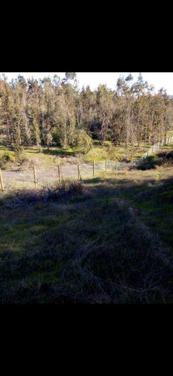 Venta Terreno Pumanque - O'Higgins