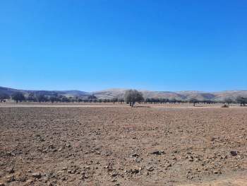 Venta Terreno Canela - Coquimbo