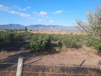 Venta Terreno Ovalle - Coquimbo