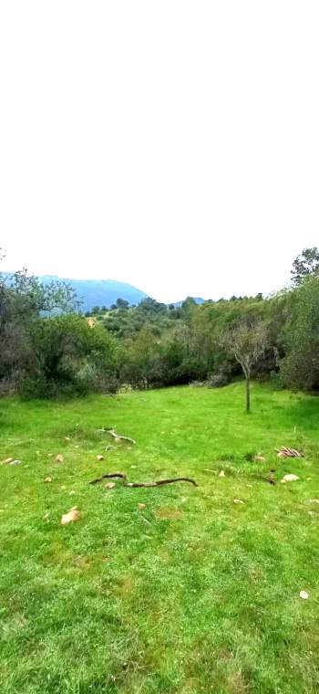 Venta Sitio Sagrada familia - Maule