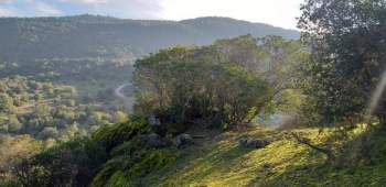 Venta Terreno Chimbarongo - O'Higgins
