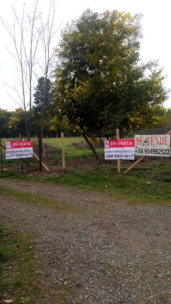 Venta Terreno Santa Bárbara - Biobío