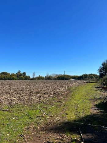 Venta Terreno San ignacio - Ñuble