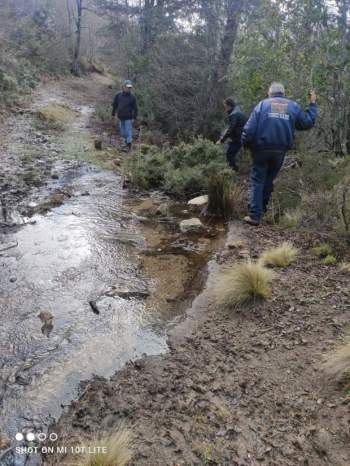 Venta Terreno Angol - La Araucanía